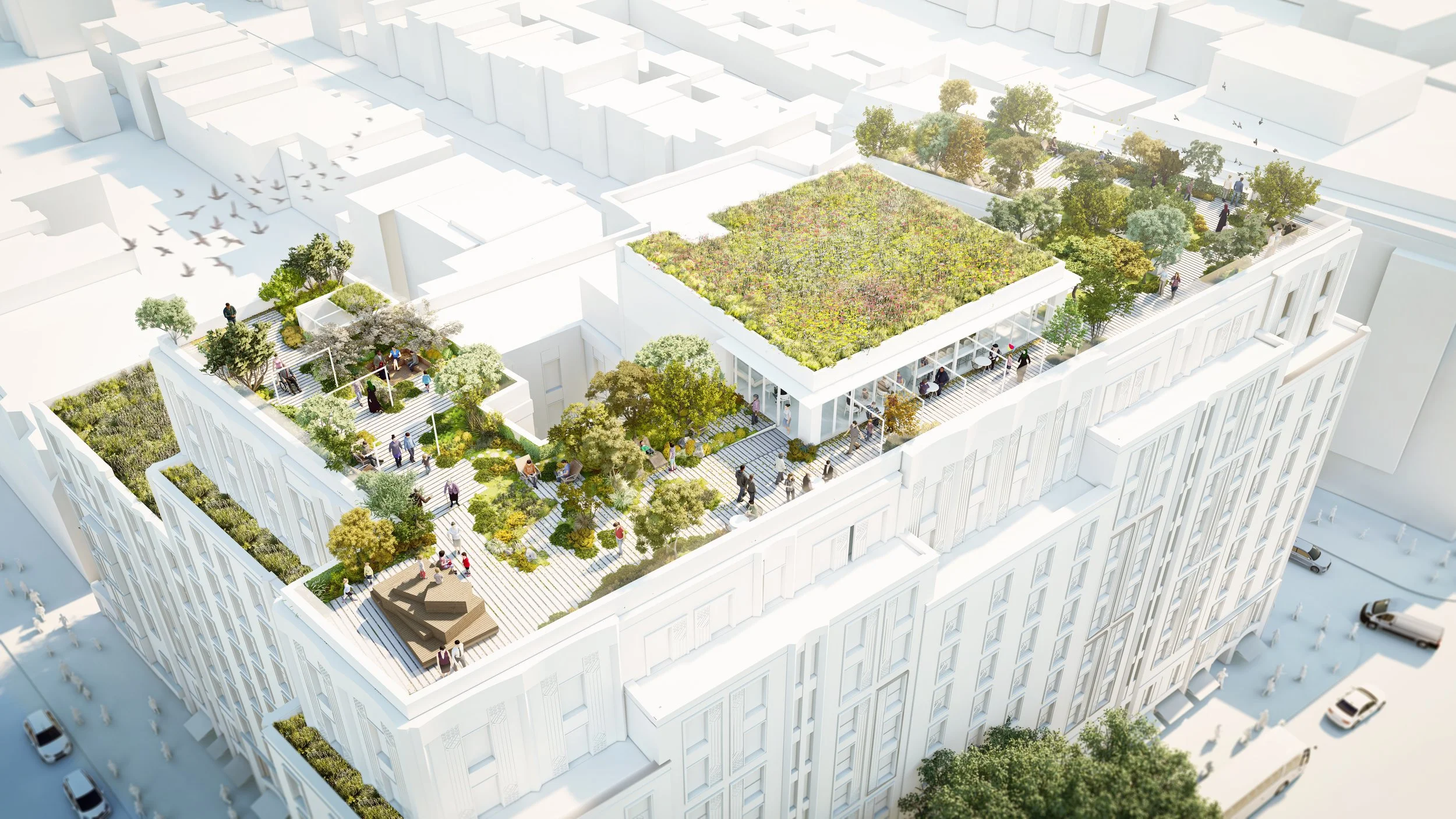 Phil-Allen-Design-Hilton- (1) copy LO.jpg