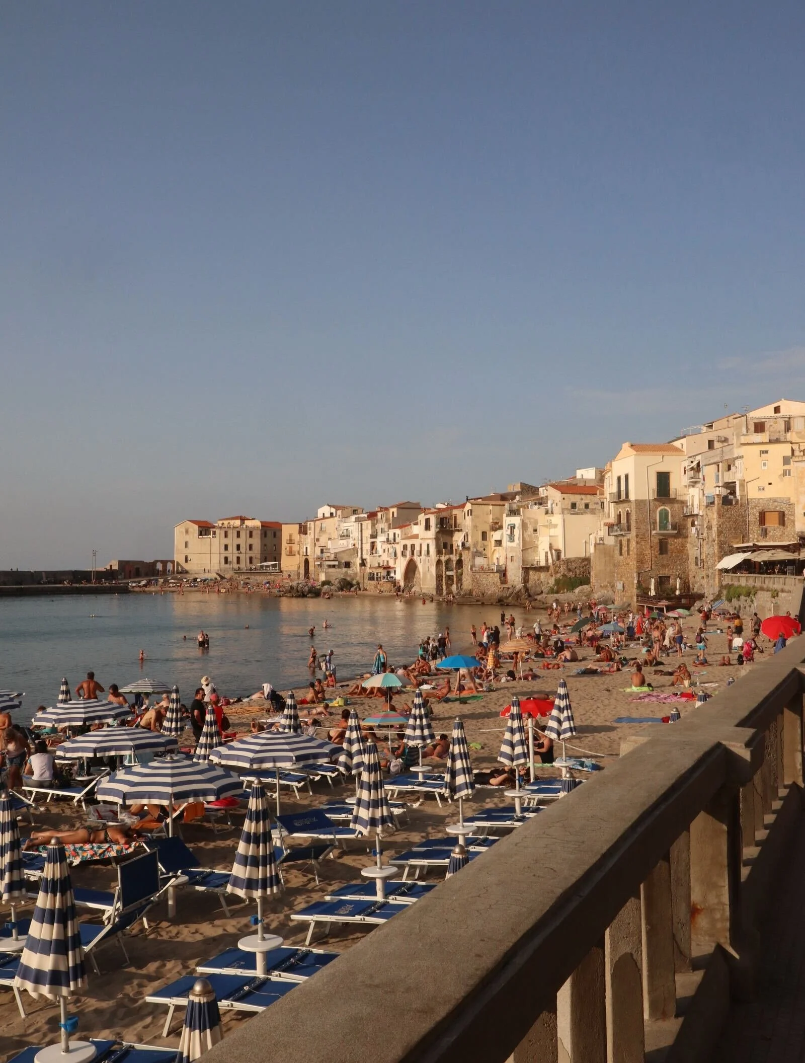 IMG_8021_1600X2112.jpeg