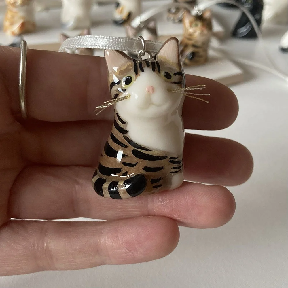 Cat_tabby_white.jpg