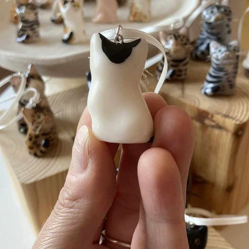 Kitten_white_black-Back.jpg