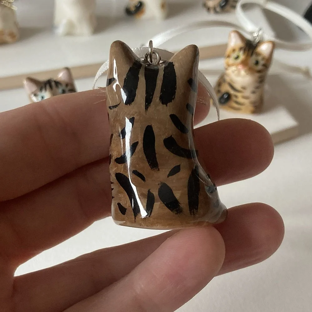Cat_tabby_white_back.jpg