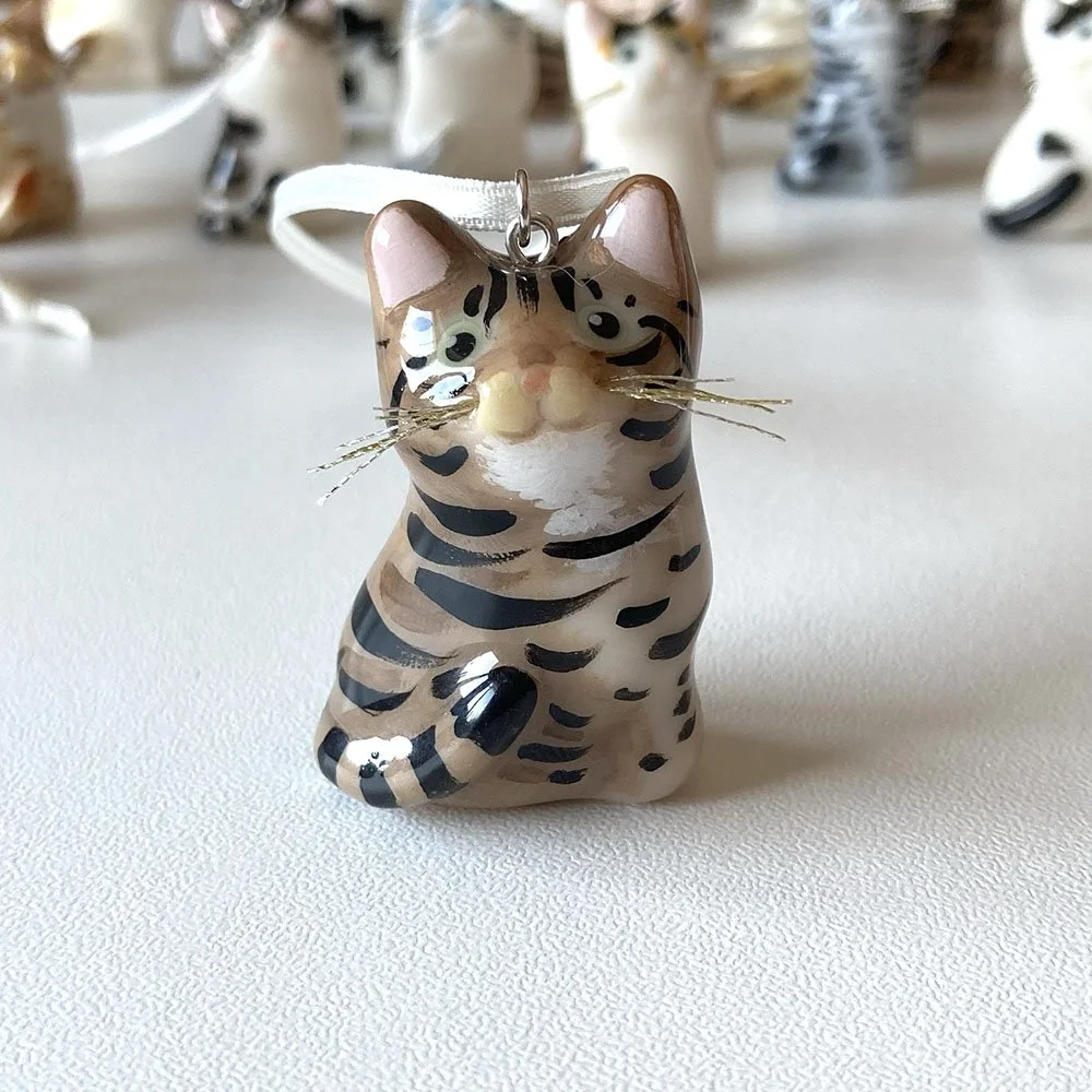 CatTabby3.jpg