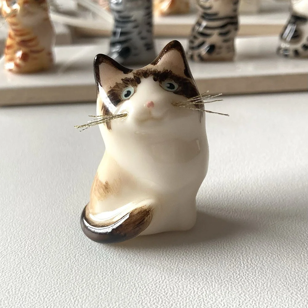 CatRagrollWhiteFace.jpg