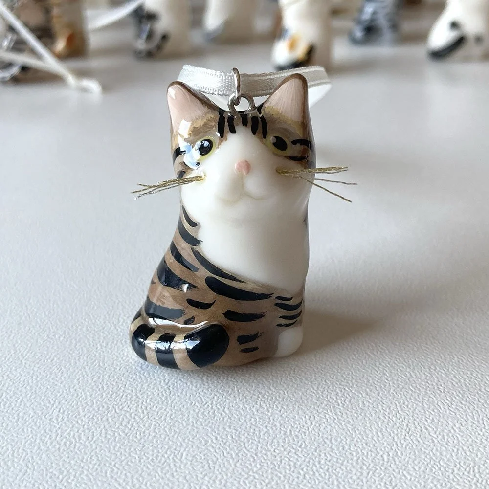 Cat_tabby_white_3.jpg