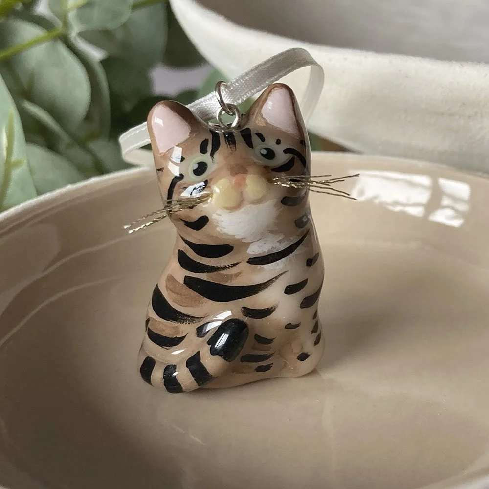 CatTabby.jpg