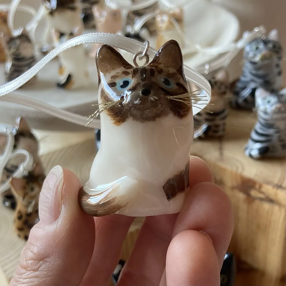 CatRagdollBrownFaced.jpg