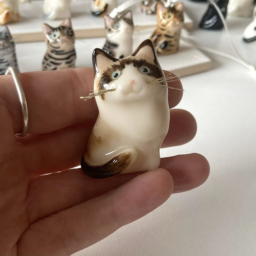 catRagdollwhiteface2.jpg