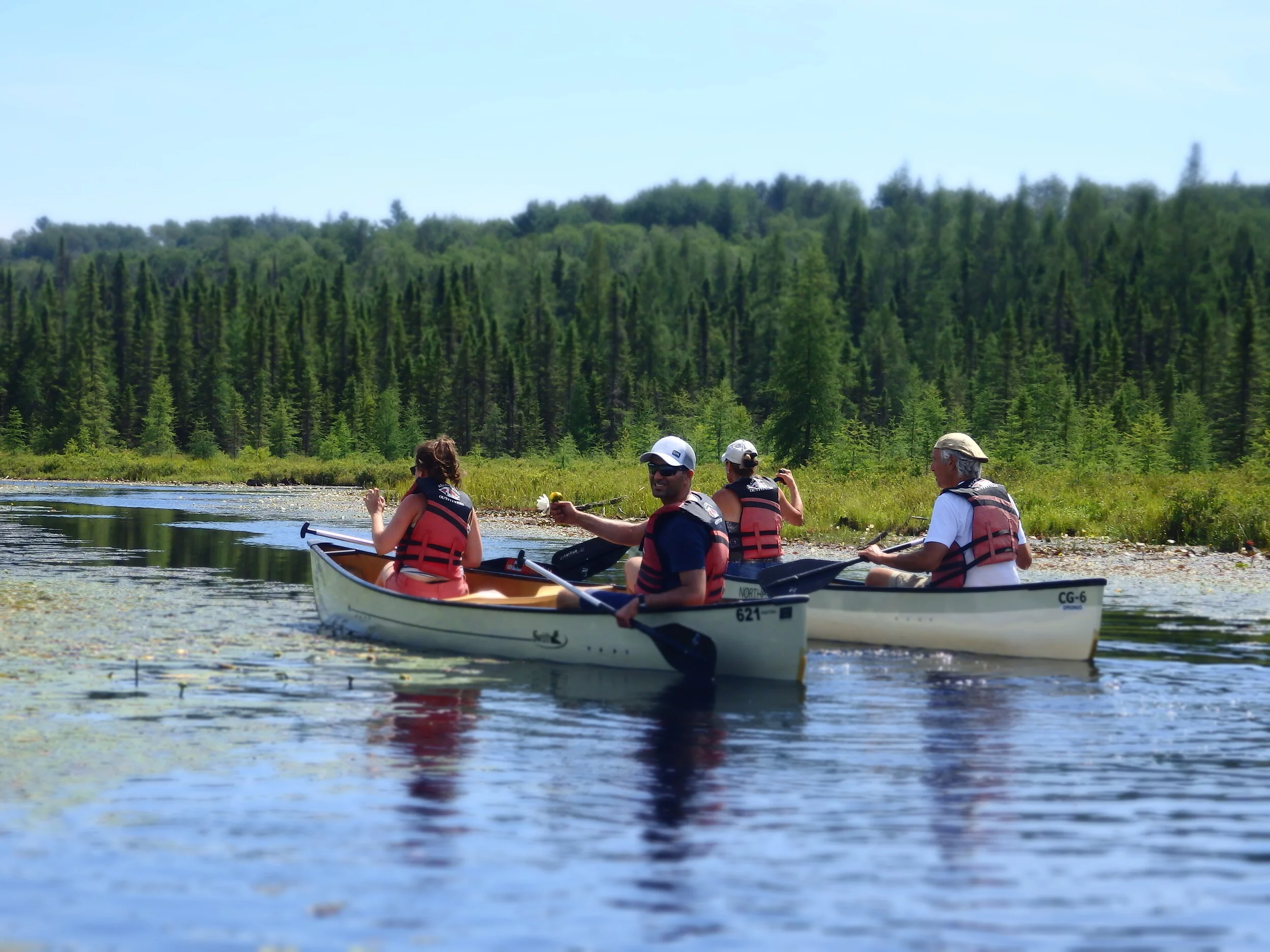 "My Blue Heaven" -Toronto To Algonquin (3 Day)