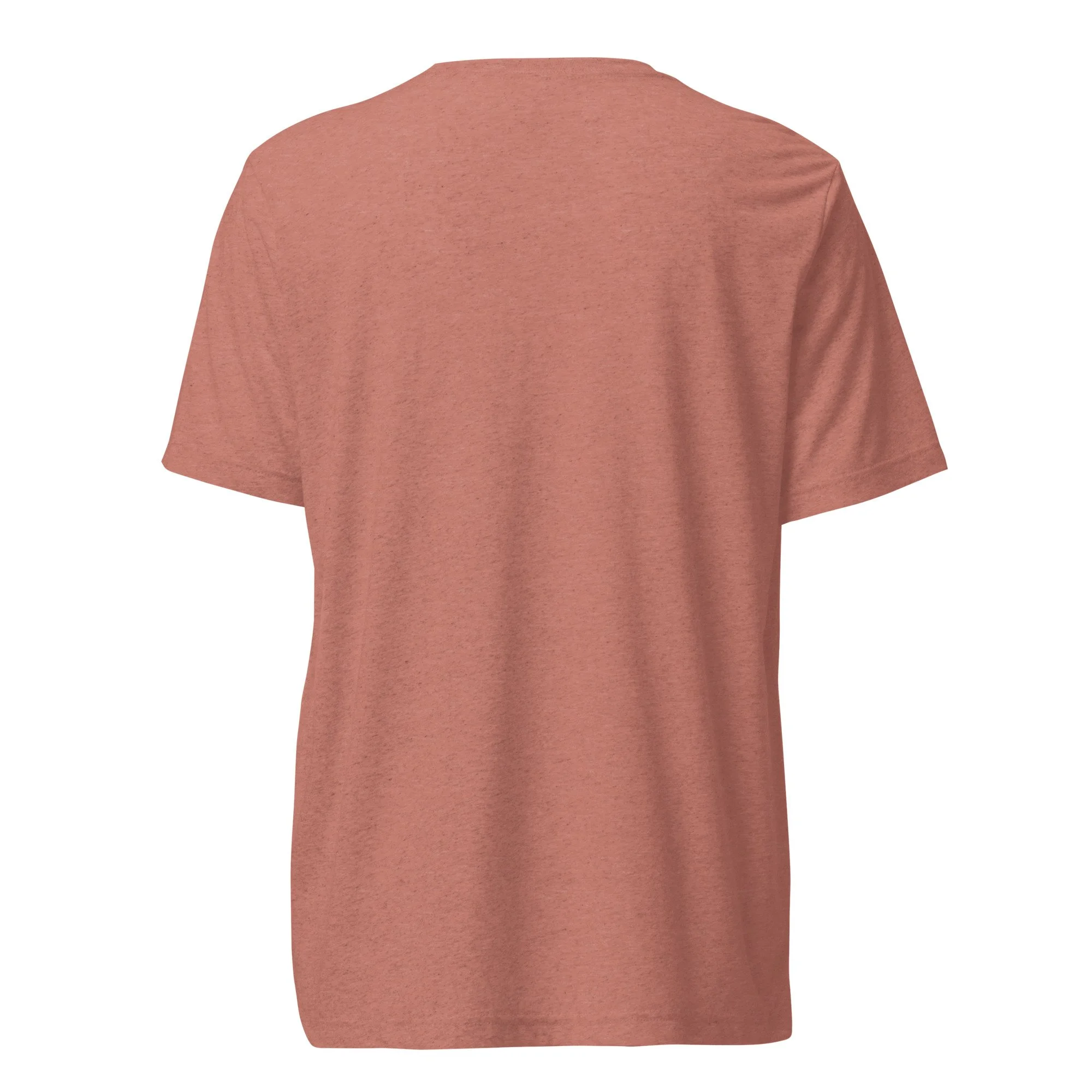 unisex-tri-blend-t-shirt-mauve-triblend-back-68a6d15df2a53.jpg