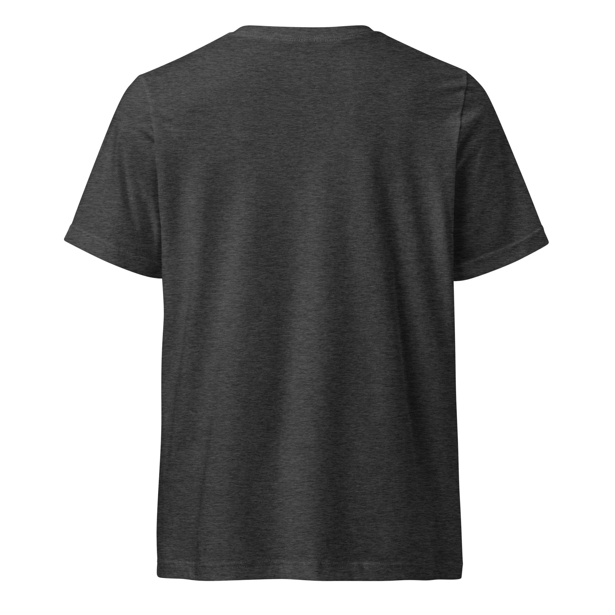 unisex-v-neck-tee-dark-grey-heather-back-68a6d520b4f4b.jpg