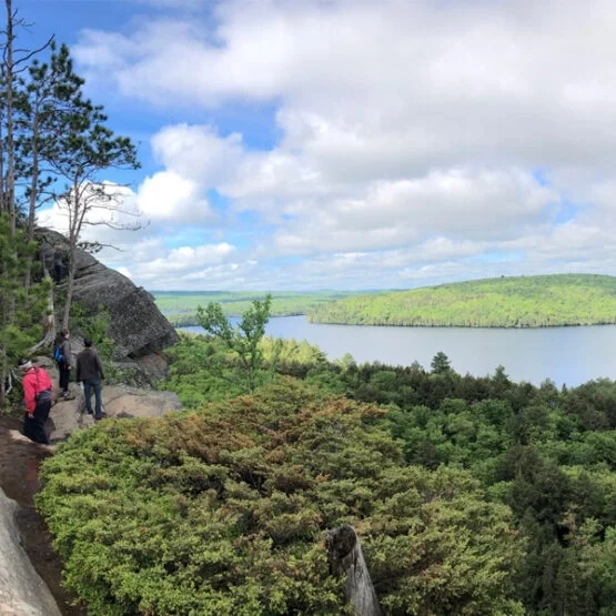 Southern Ontario's 5 Best Hiking Spots You've Probably Already Heard Of