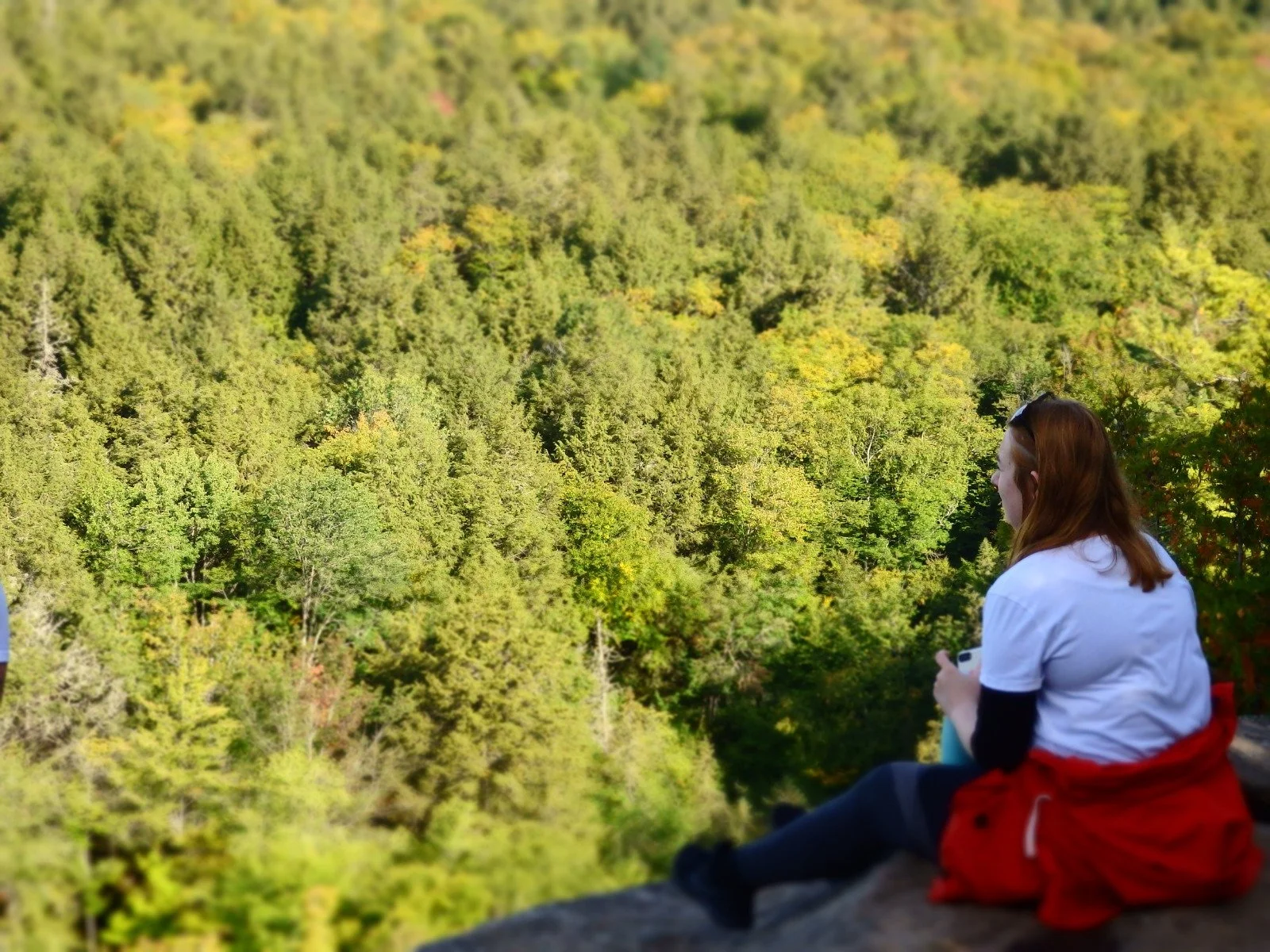 Life On The Edge At Booth's Rock
