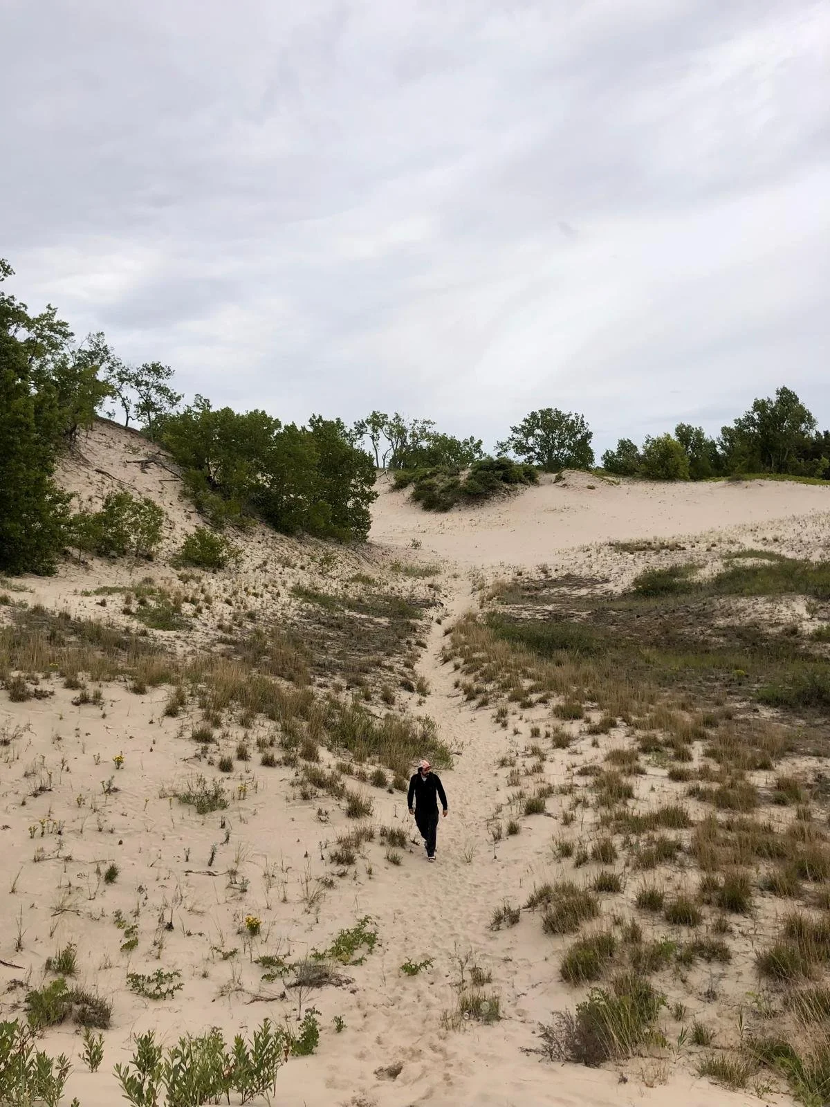 Wandering Through The Dunes Of Sandbanks
