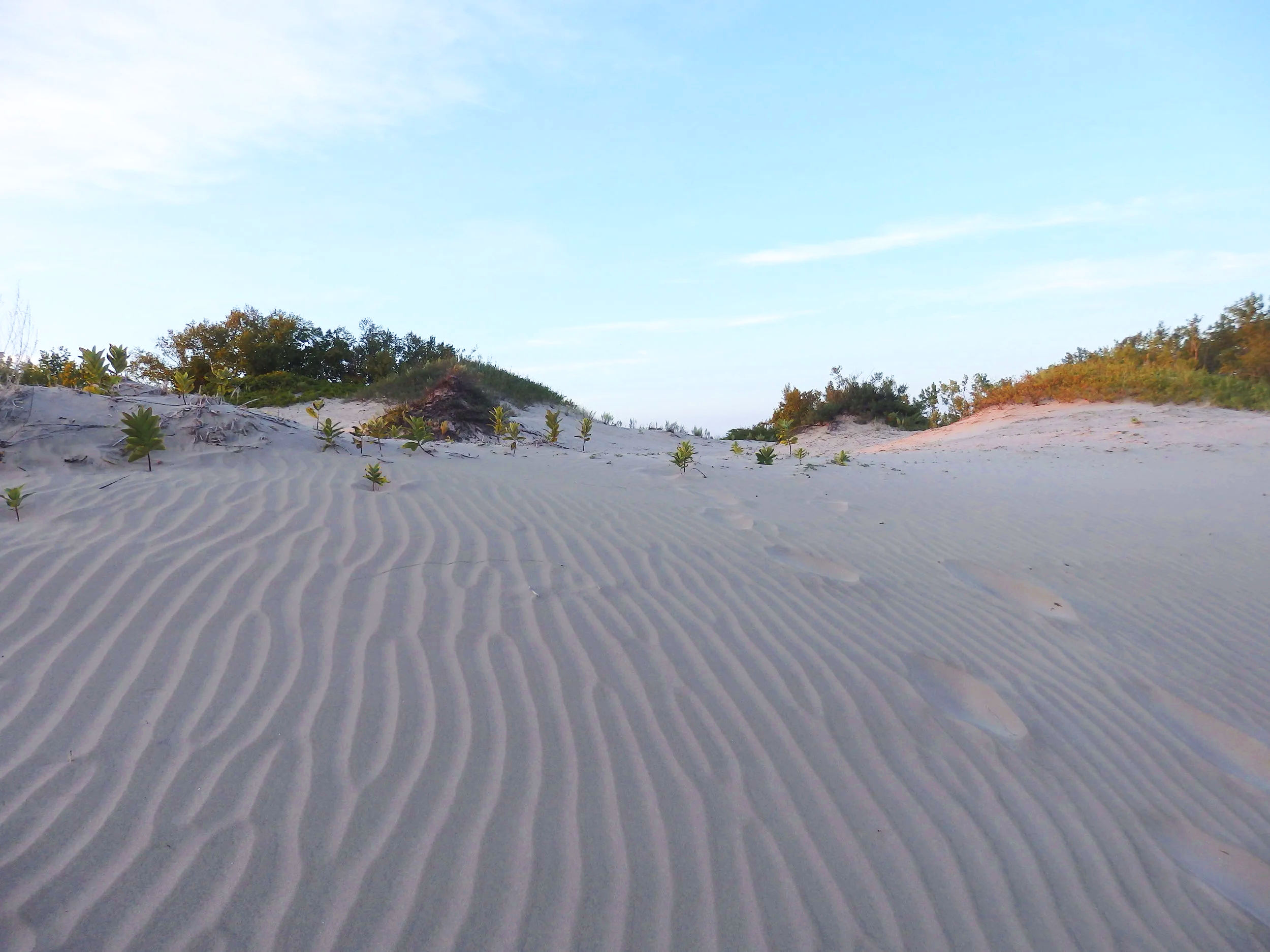 Footprints in a rippling untouched sand dune