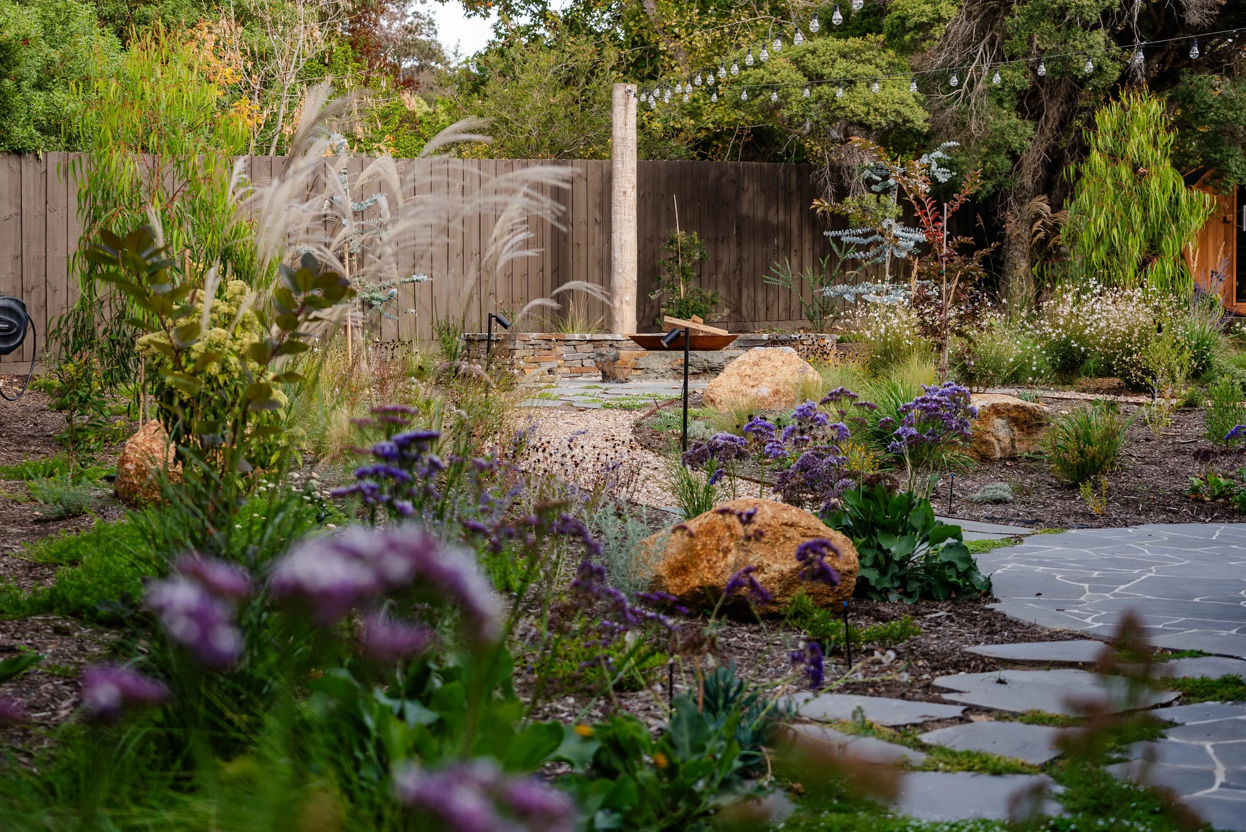 Mornington Peninsula, Mount Martha backyard with Mediterranean native garden, wild flower style garden with rocks, a bluestone path and festoon lighting. Sheoak Design