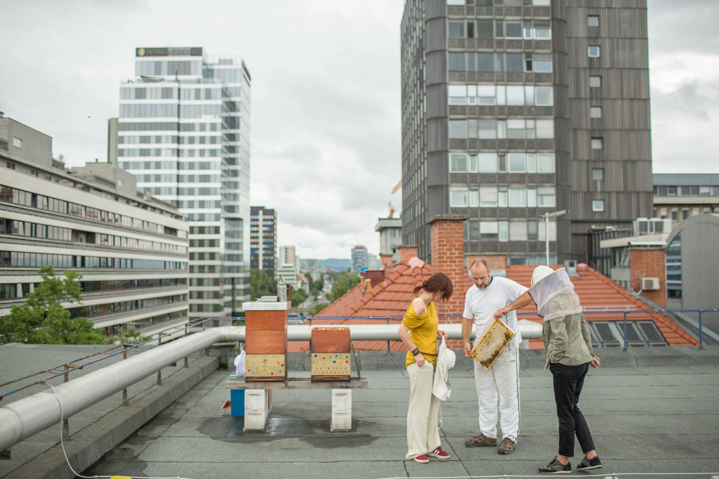 Šola v naravi: na obisku pri čebelah