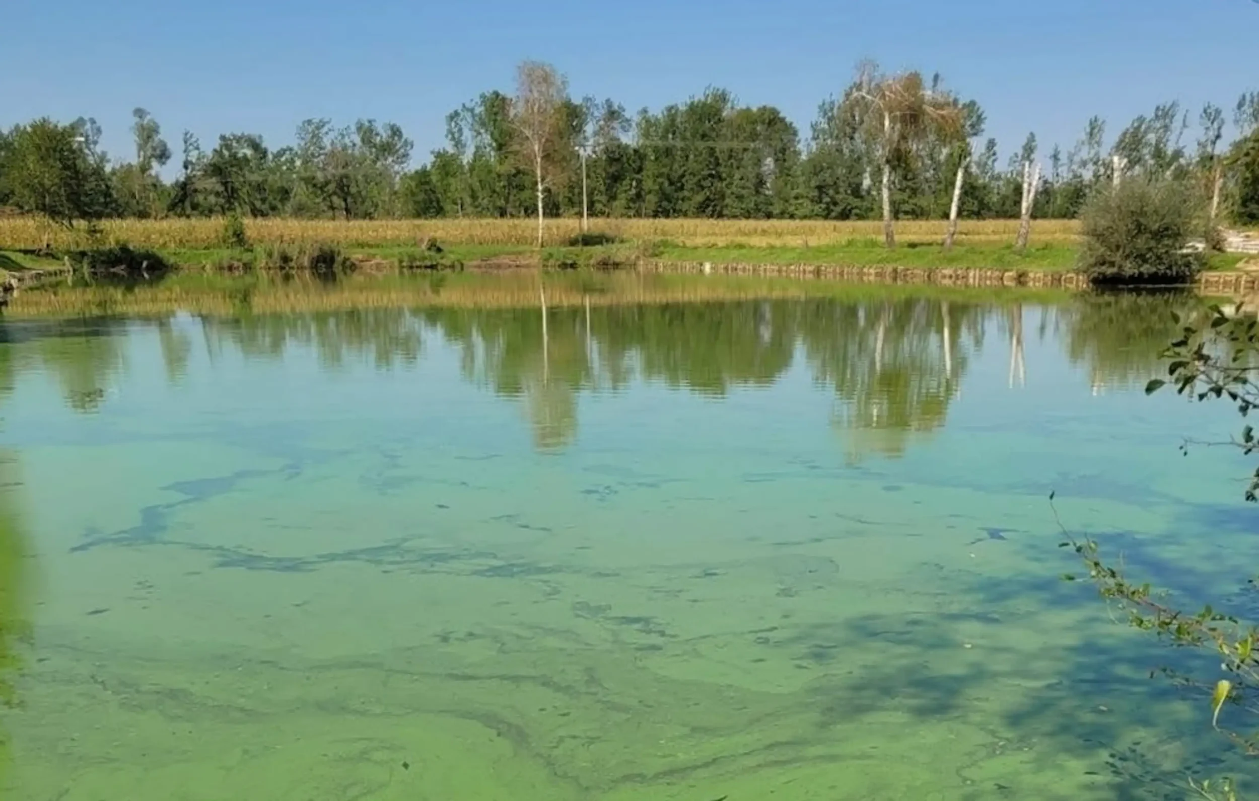 Slovenski projekt o varnosti voda med dobitniki evropske podpore