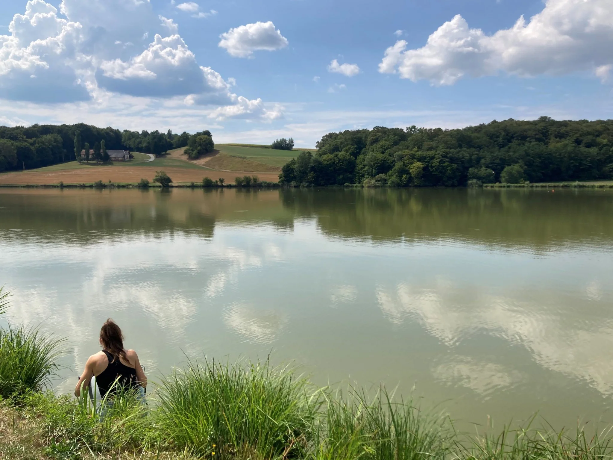 Delite izkušnjo s cianobakterijami – svojo ali pasjo