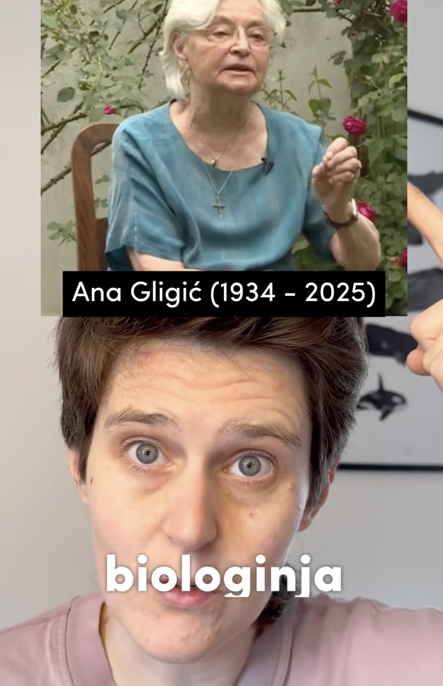 Ana Gligič