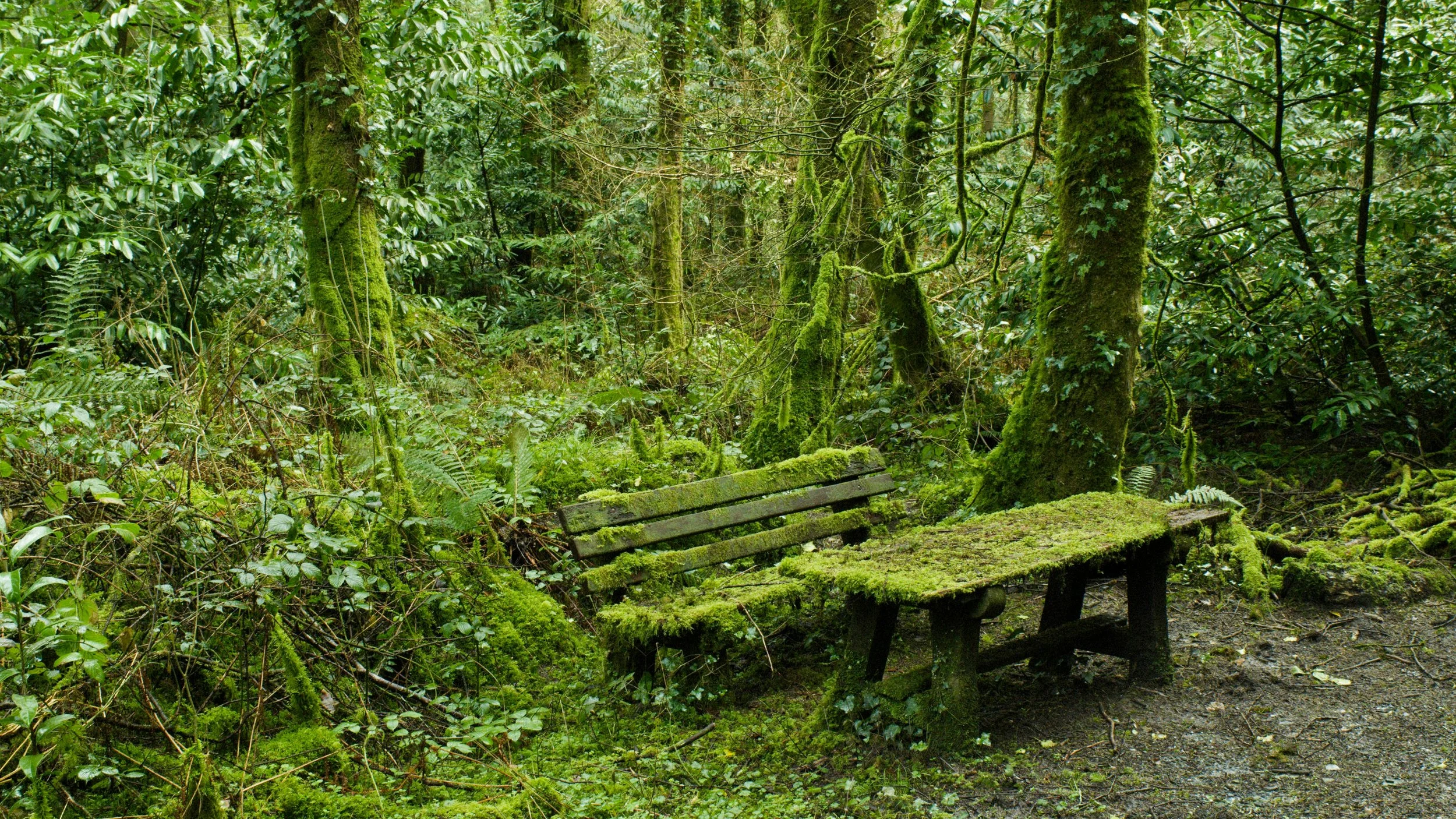  Foto:  Marc Pell /Unsplash 