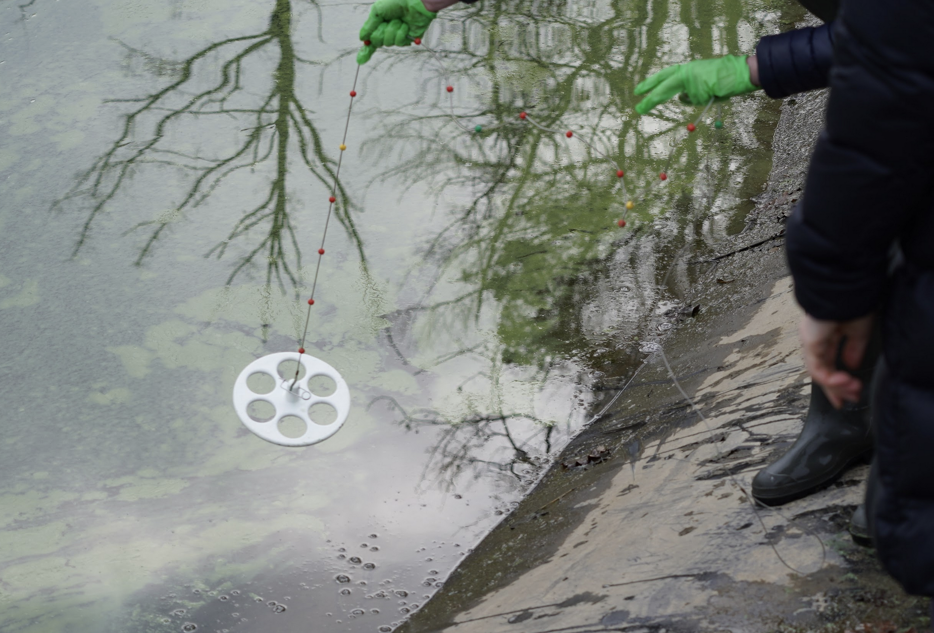  Secchi disk za preverjanje motnosti vode. Foto: Strašno hudi 