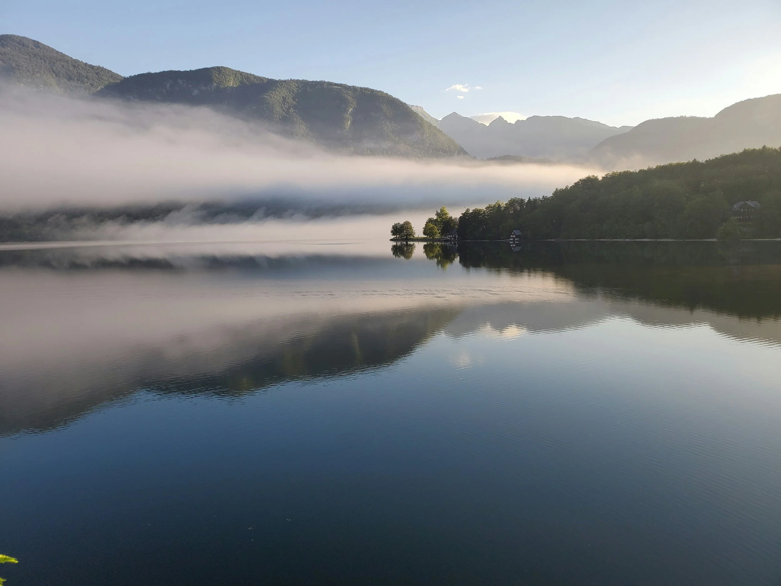 Novi sumi zastrupitev v Bohinjskem jezeru