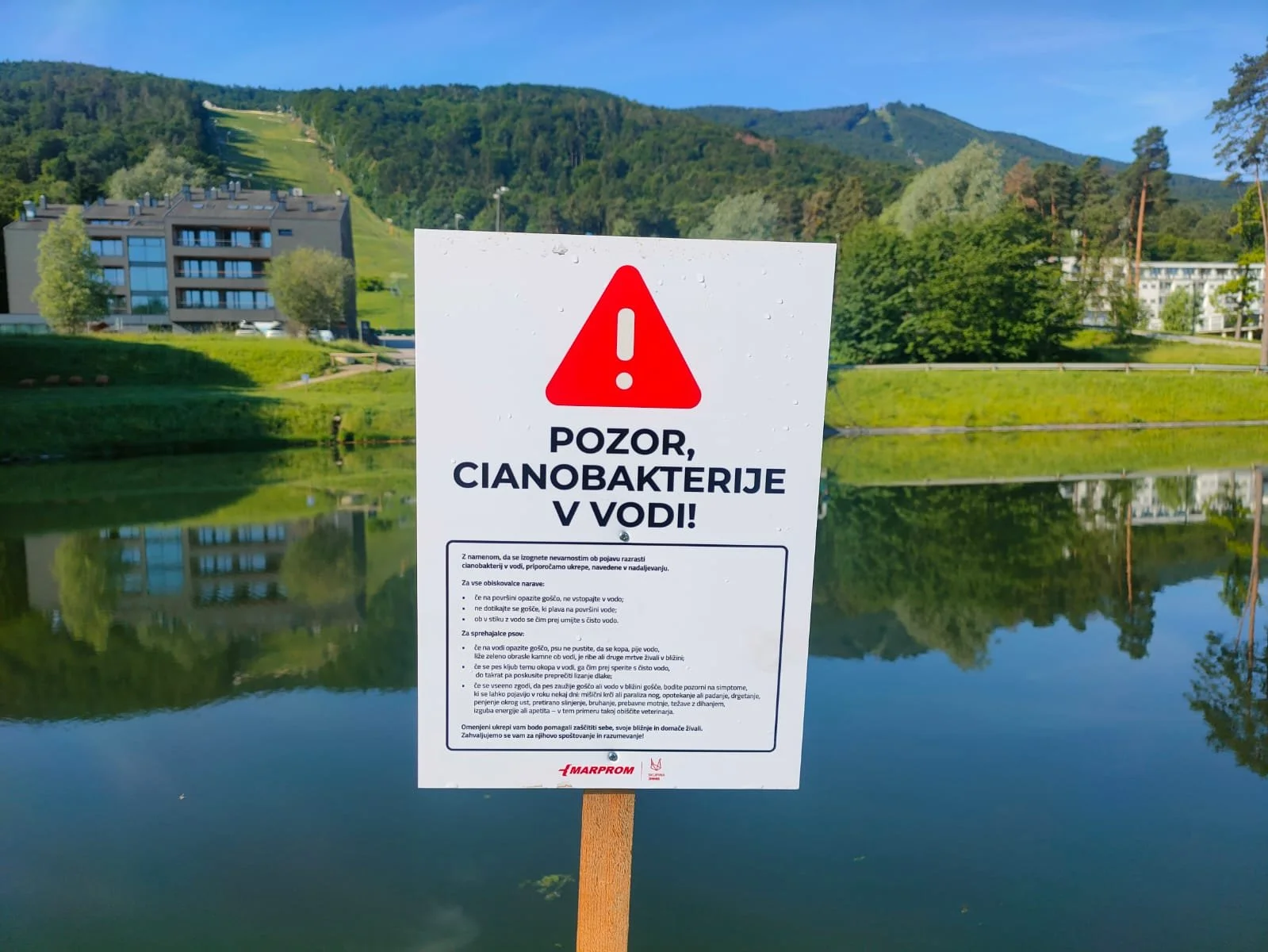 Občan, ki ni pogledal stran, ko je v vodi pod Pohorjem opazil čudno goščo