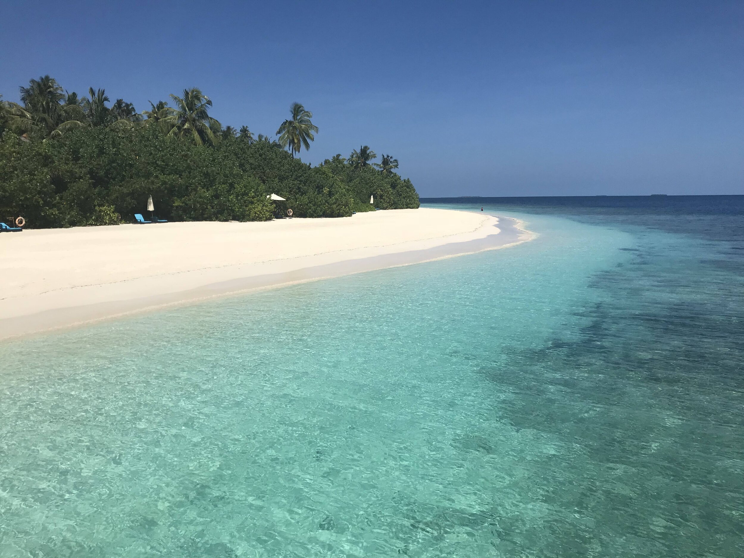 THE MALDIVES' DEEP SOUTH - 2017