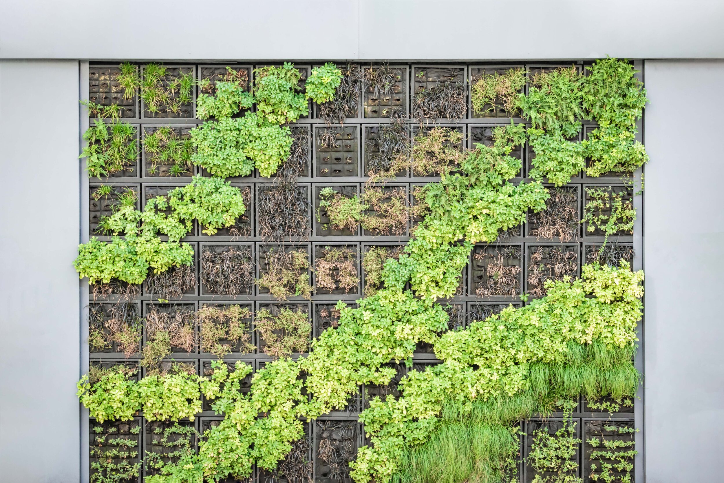 VERTICAL GARDENS - 2011