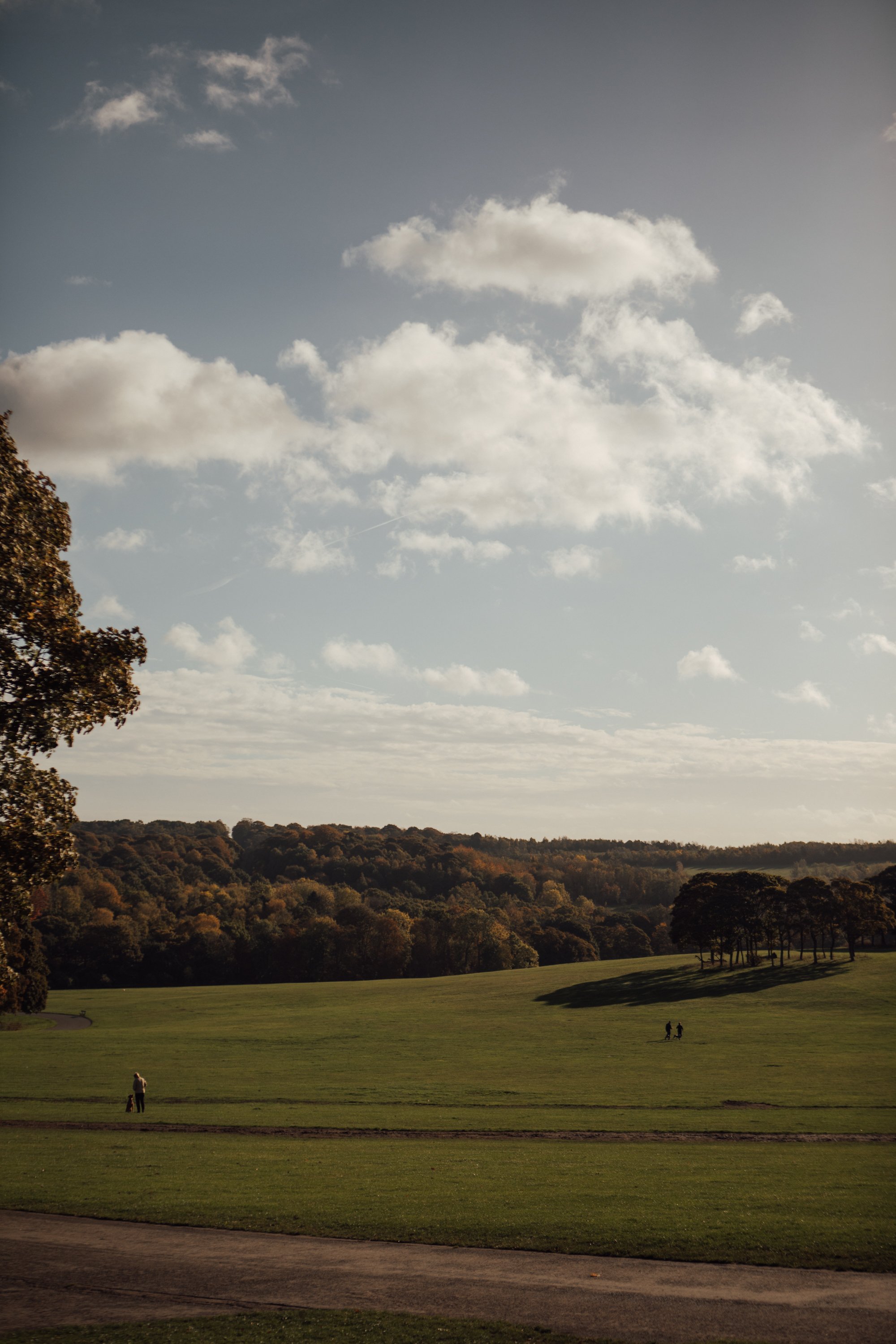 TempleNewsam897A3153HelenaDolby.jpg