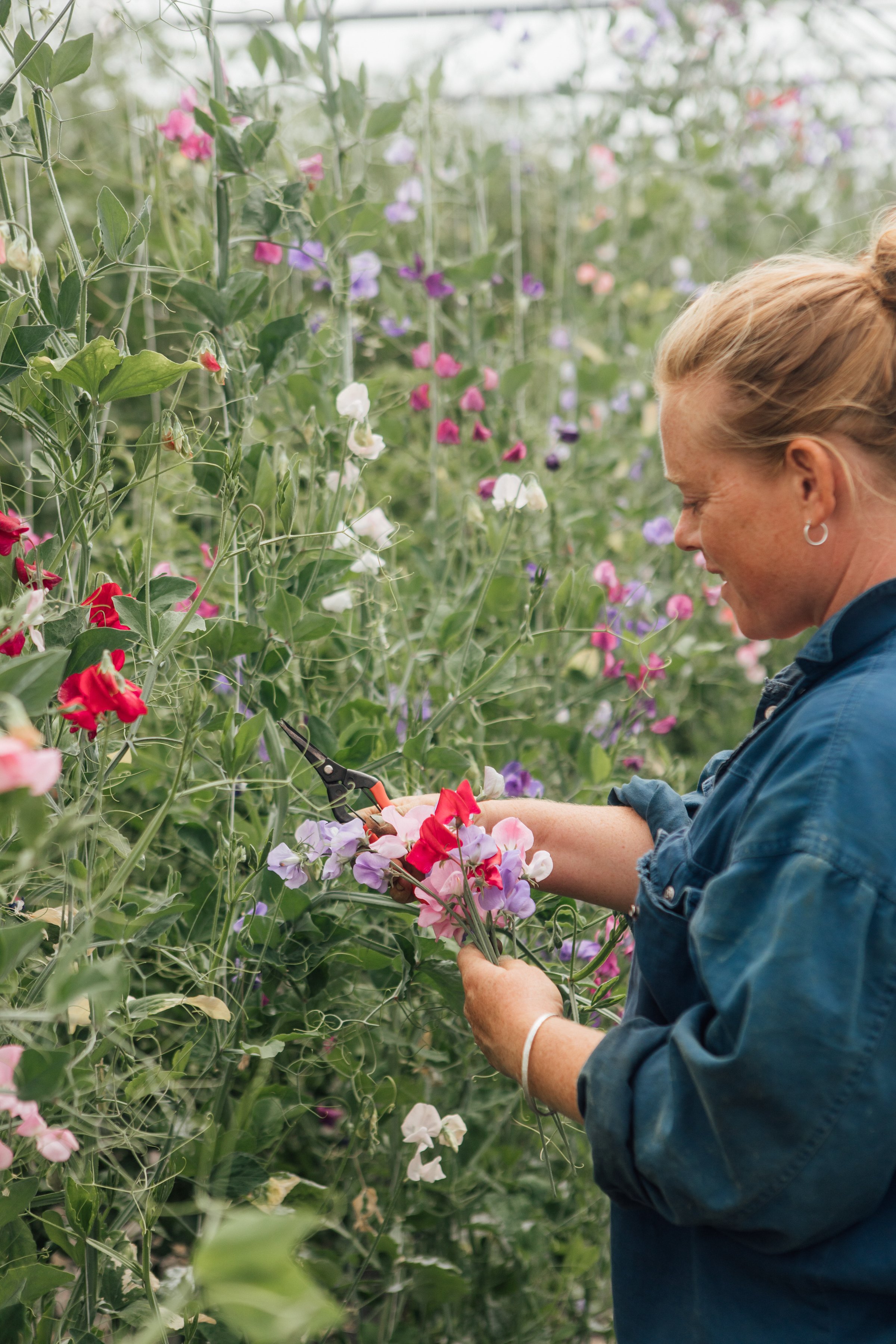 Flourish-HelenaDolby-7927.jpg