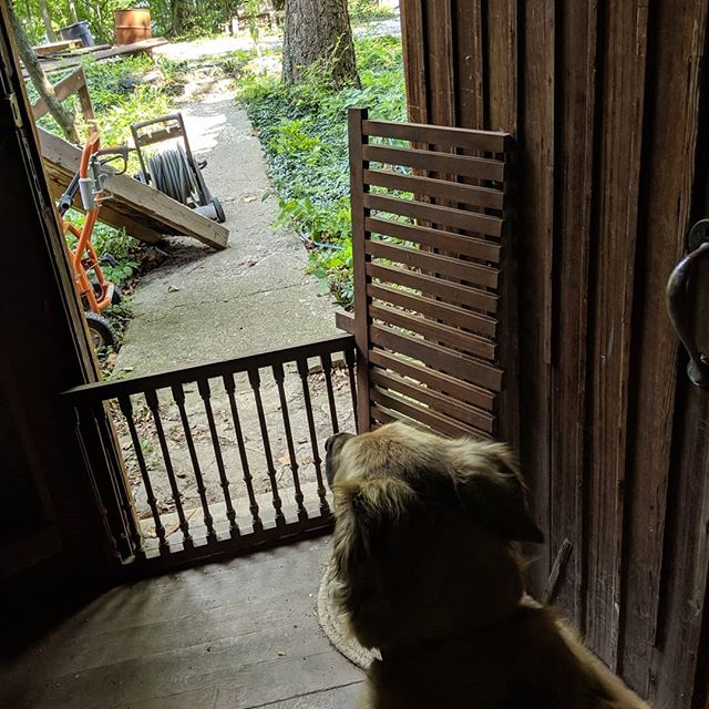 Front door dog &quot;gate&quot; inspiration from former house decor... Thanks to strategic wedging, it's actually sturdier than it looks.