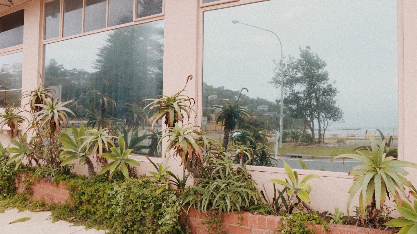 JPEG image-FAE39889A9D8-3.jpeg