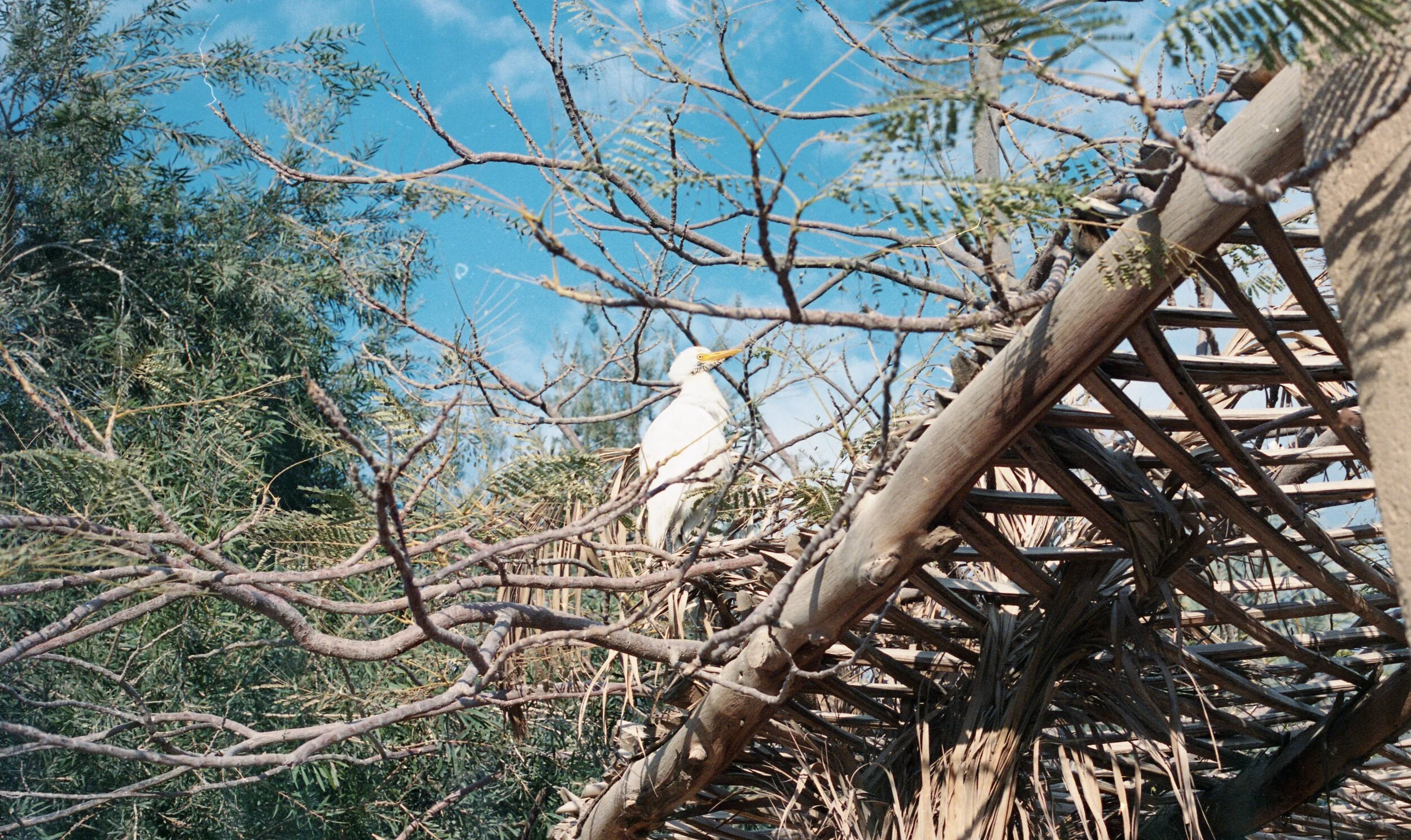 C8860AE8-EB73-4B85-AAD5-A29244480973 2.JPG