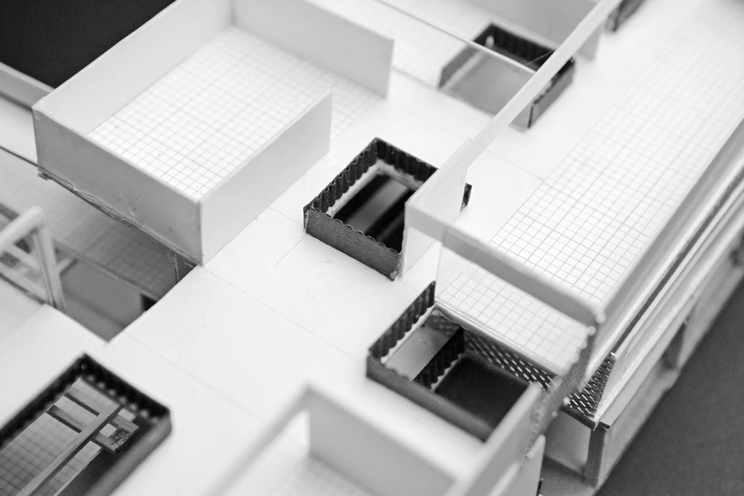 Typical daylight.jpg