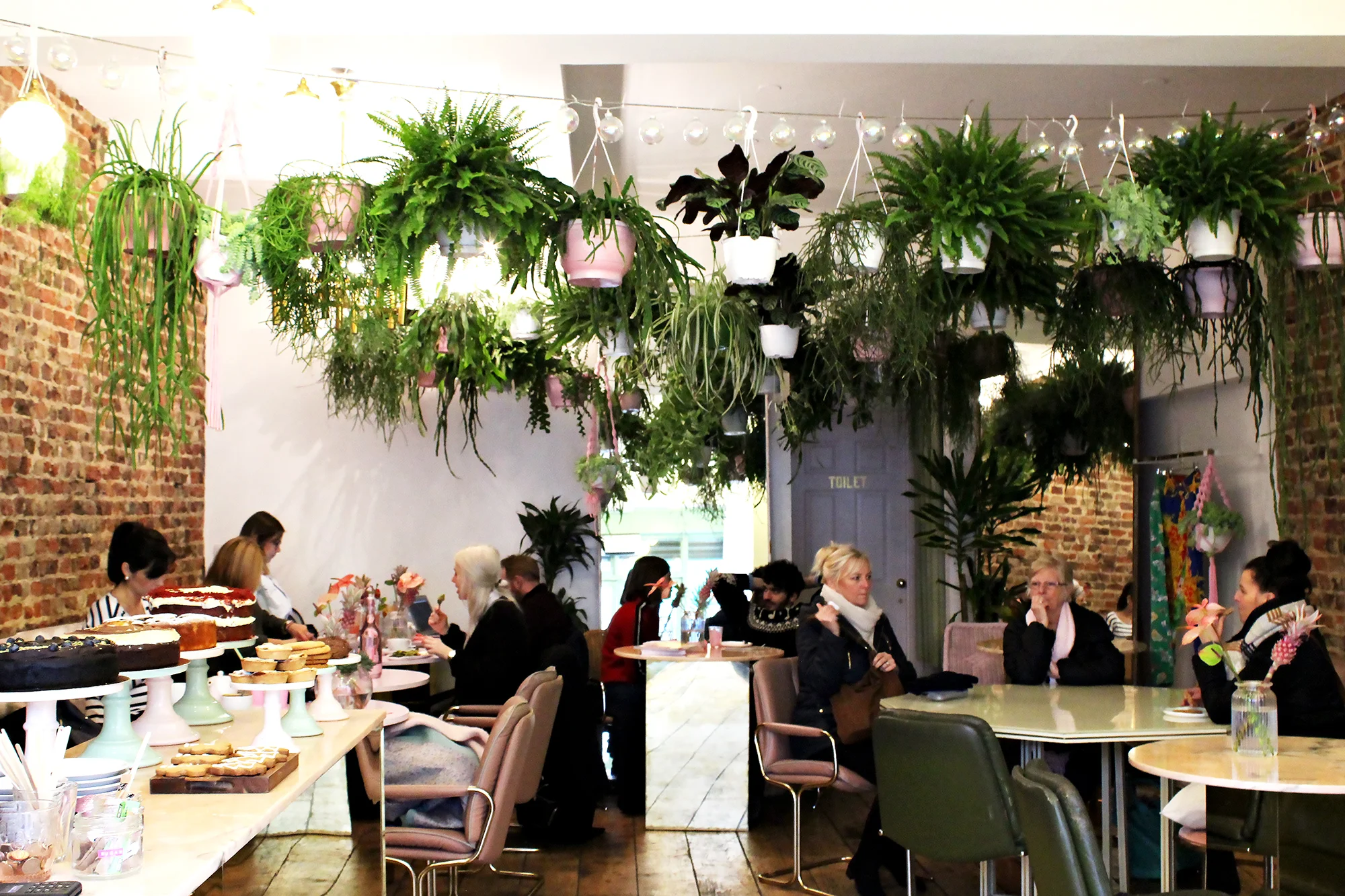 Palm vaults