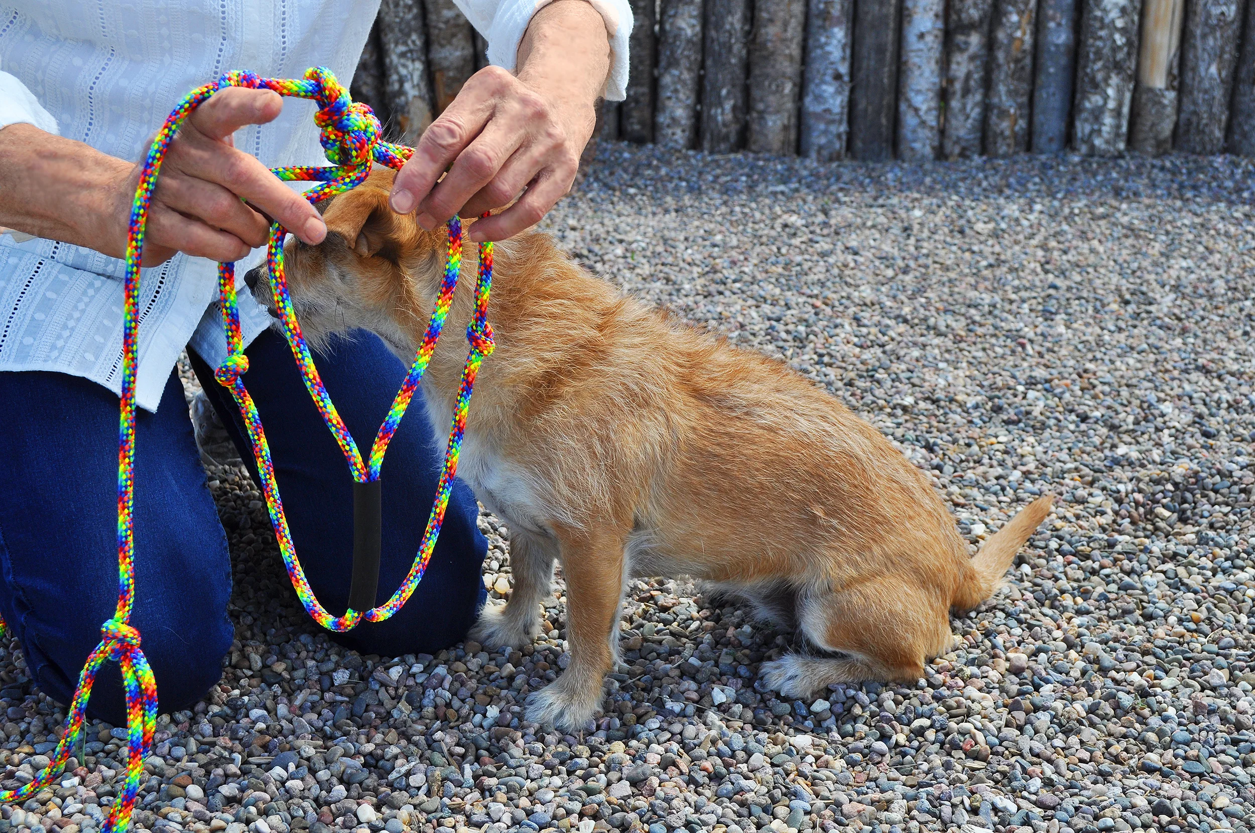 rope leash harness