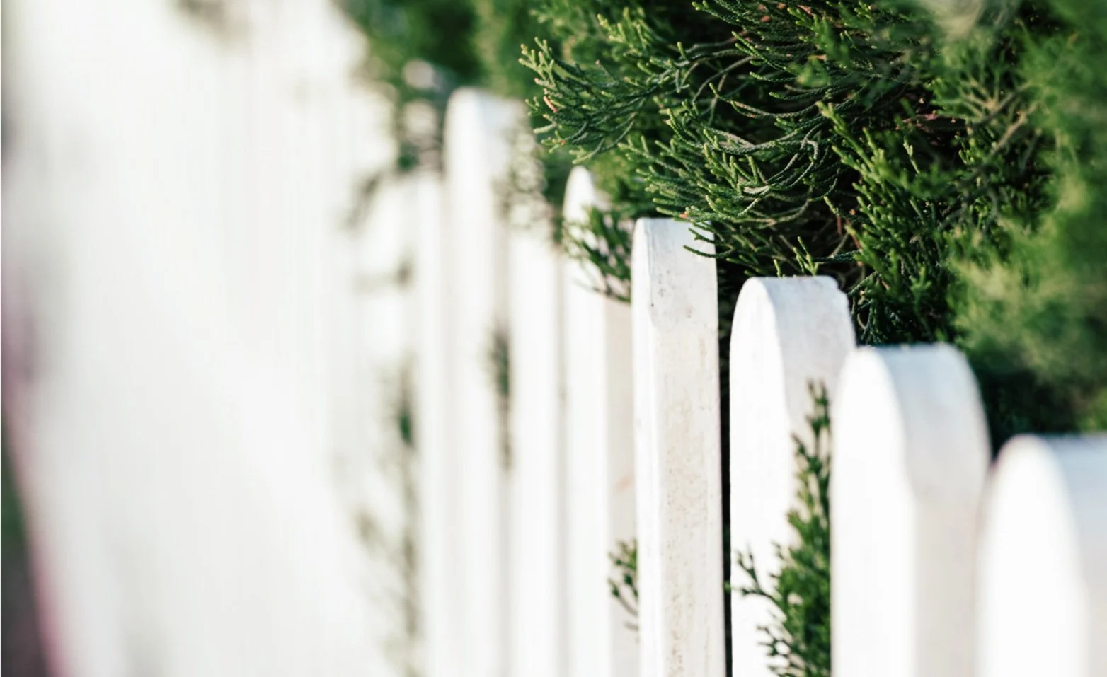 PVC Fence in Queensland Brisbane, Sunshine/Gold Coast, Toowoomba