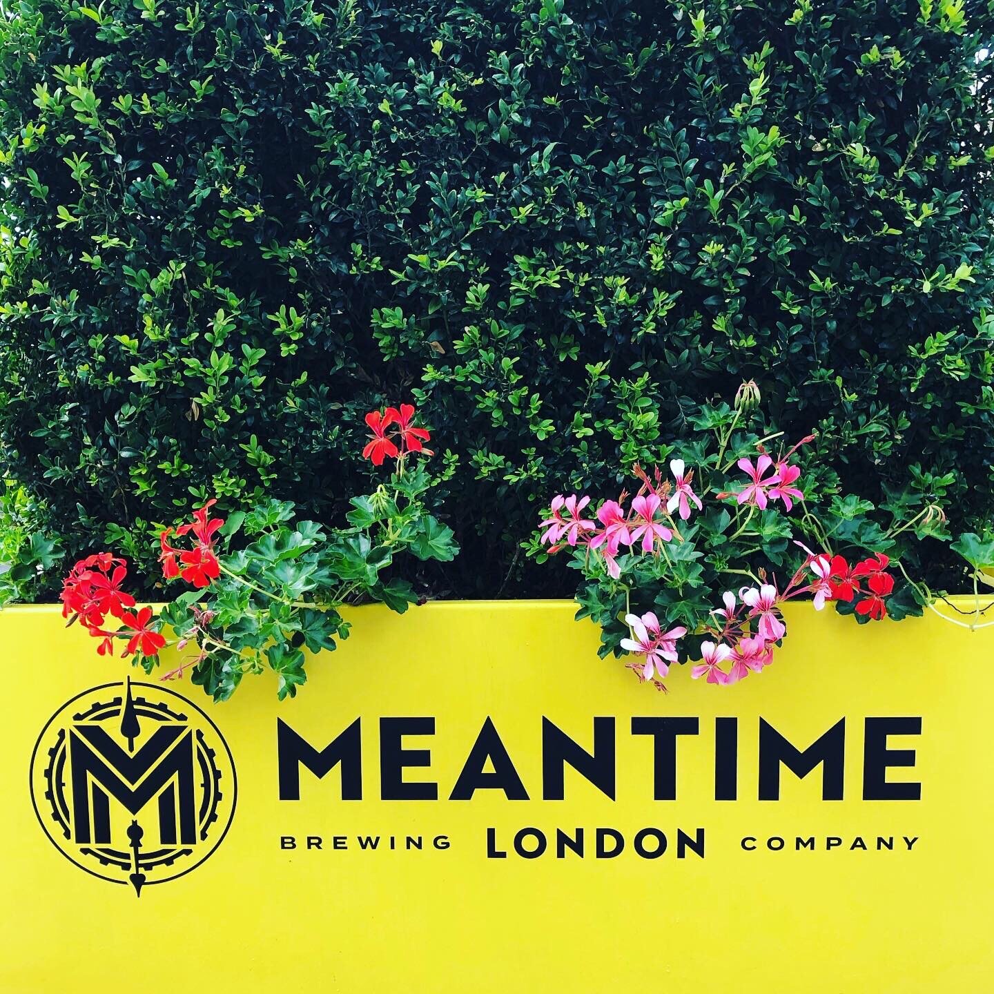 Commissioned project. Hand painted Meantime artwork in pub beer garden