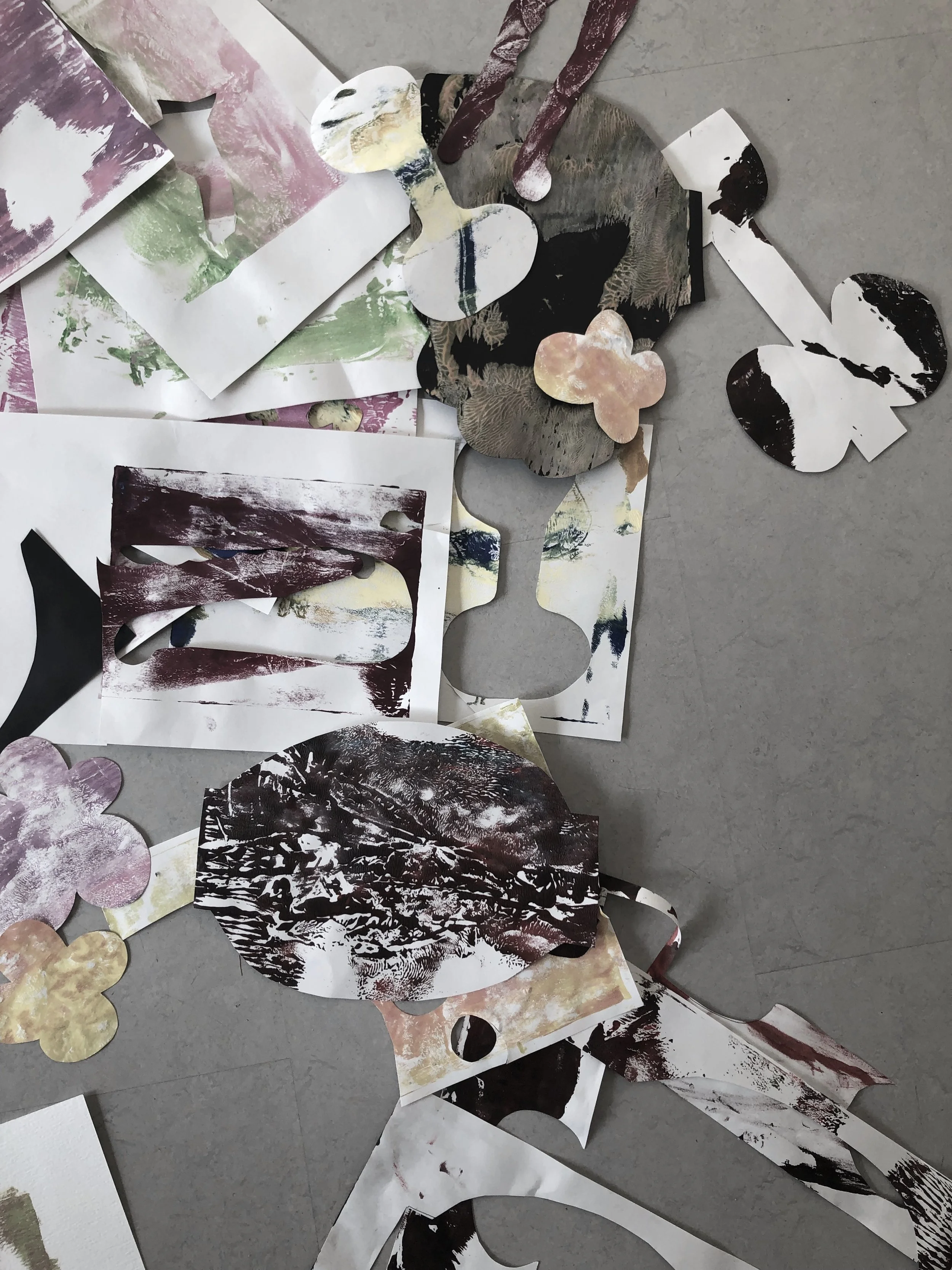 IMG-3568.jpg