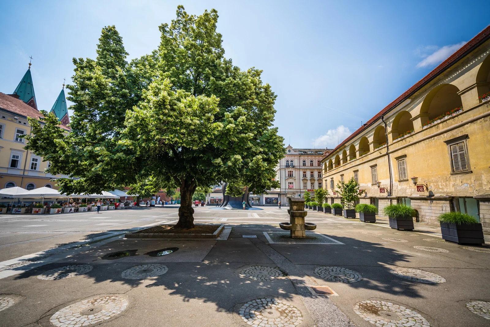 Maribor skozi oči joge.jpg