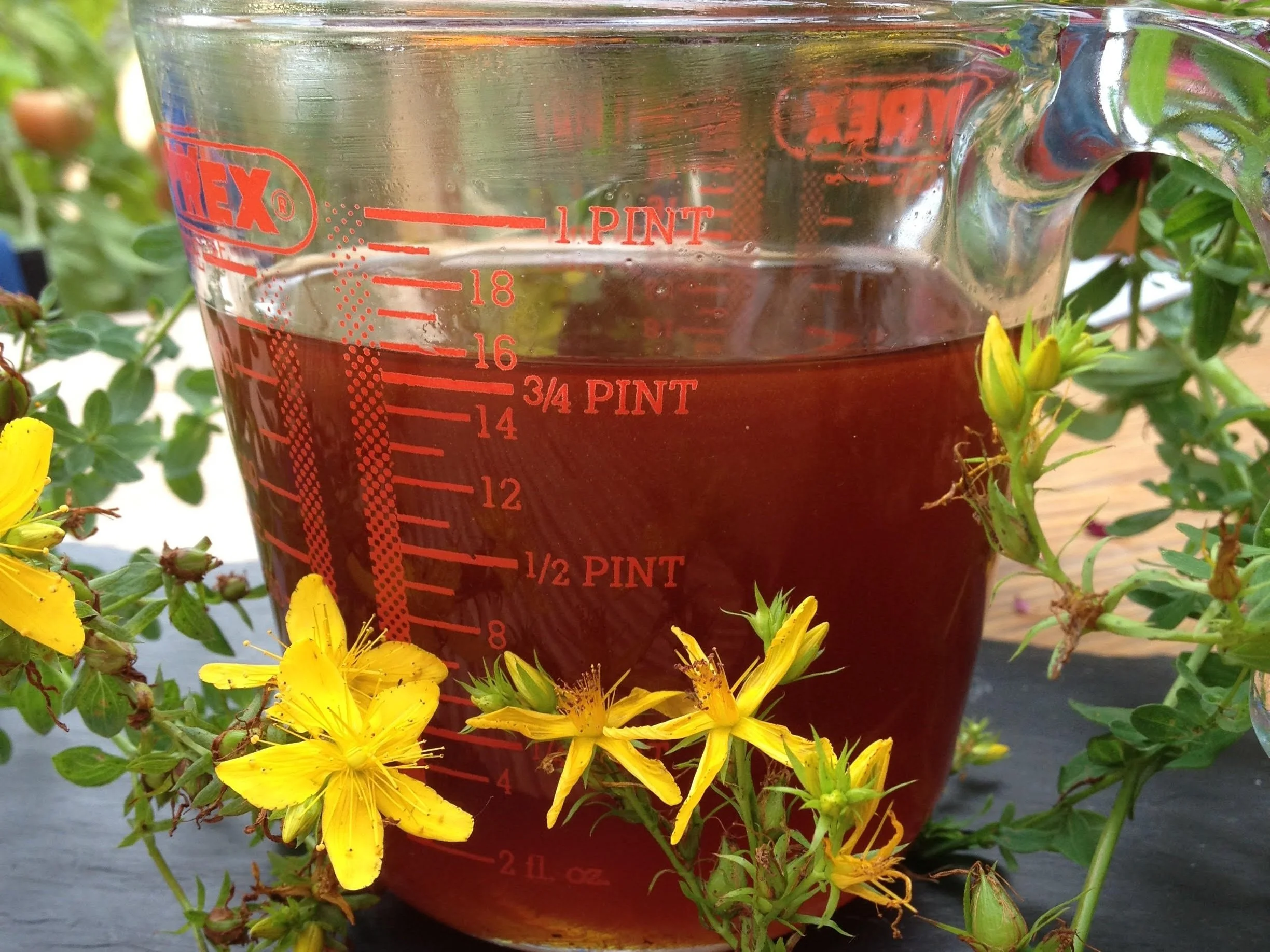Olio Infuso Di Iperico (St. John's Wort) 1 Litro – Hypericum Perforatum Per Aromaterapia E Trattamenti Pelle