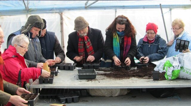 Basic Guide to Sowing Seeds