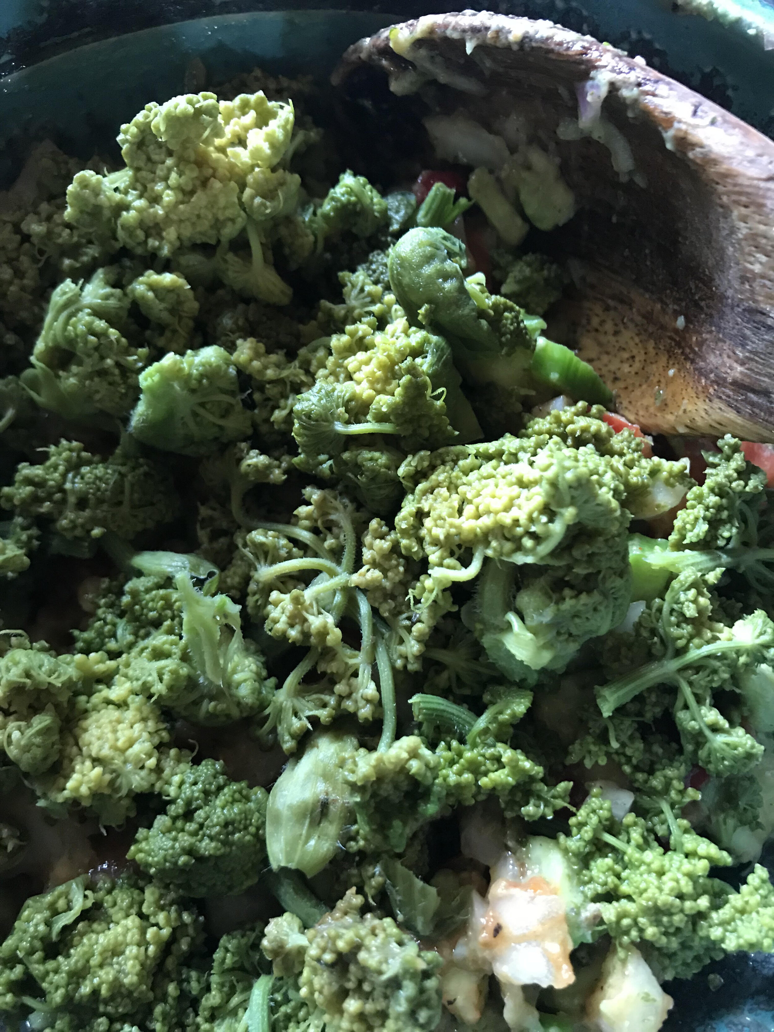 hogweed broccoli 1.jpg