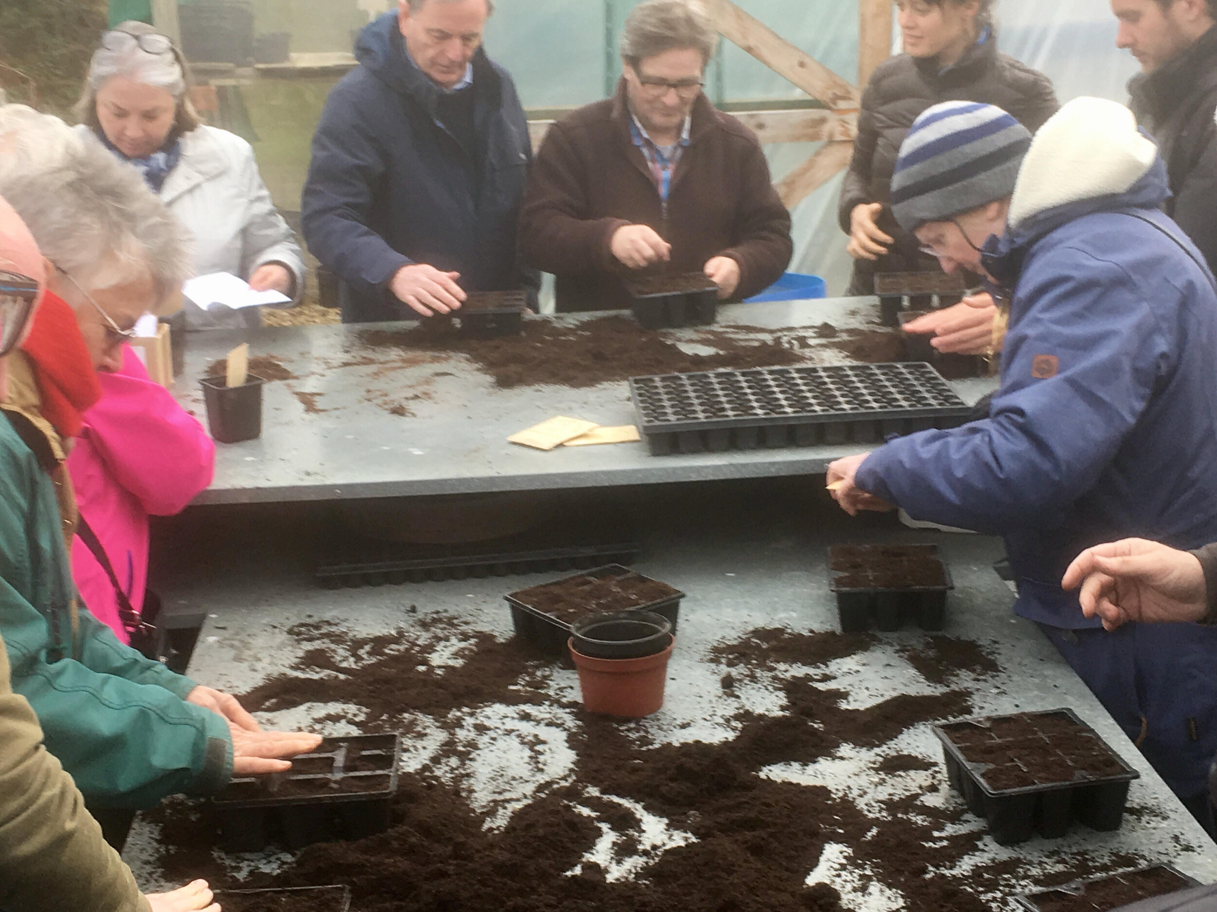 participants seed sowing 1.jpg