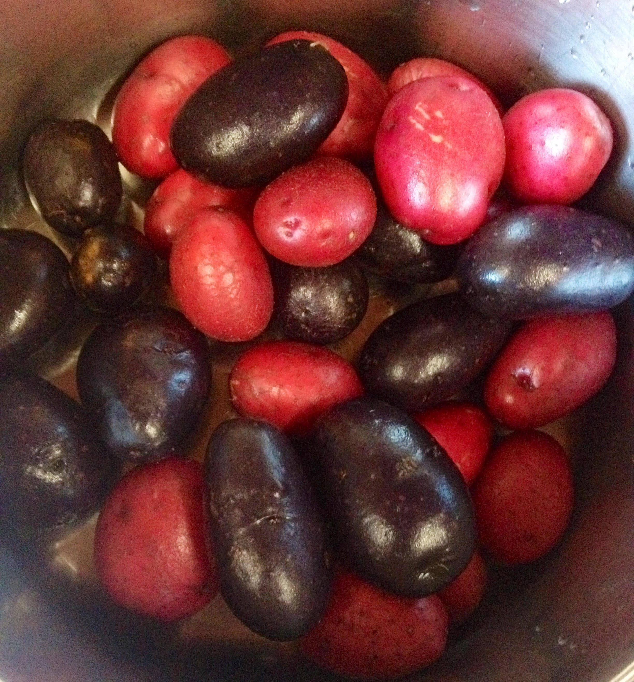 blue and purple potatoes.jpg
