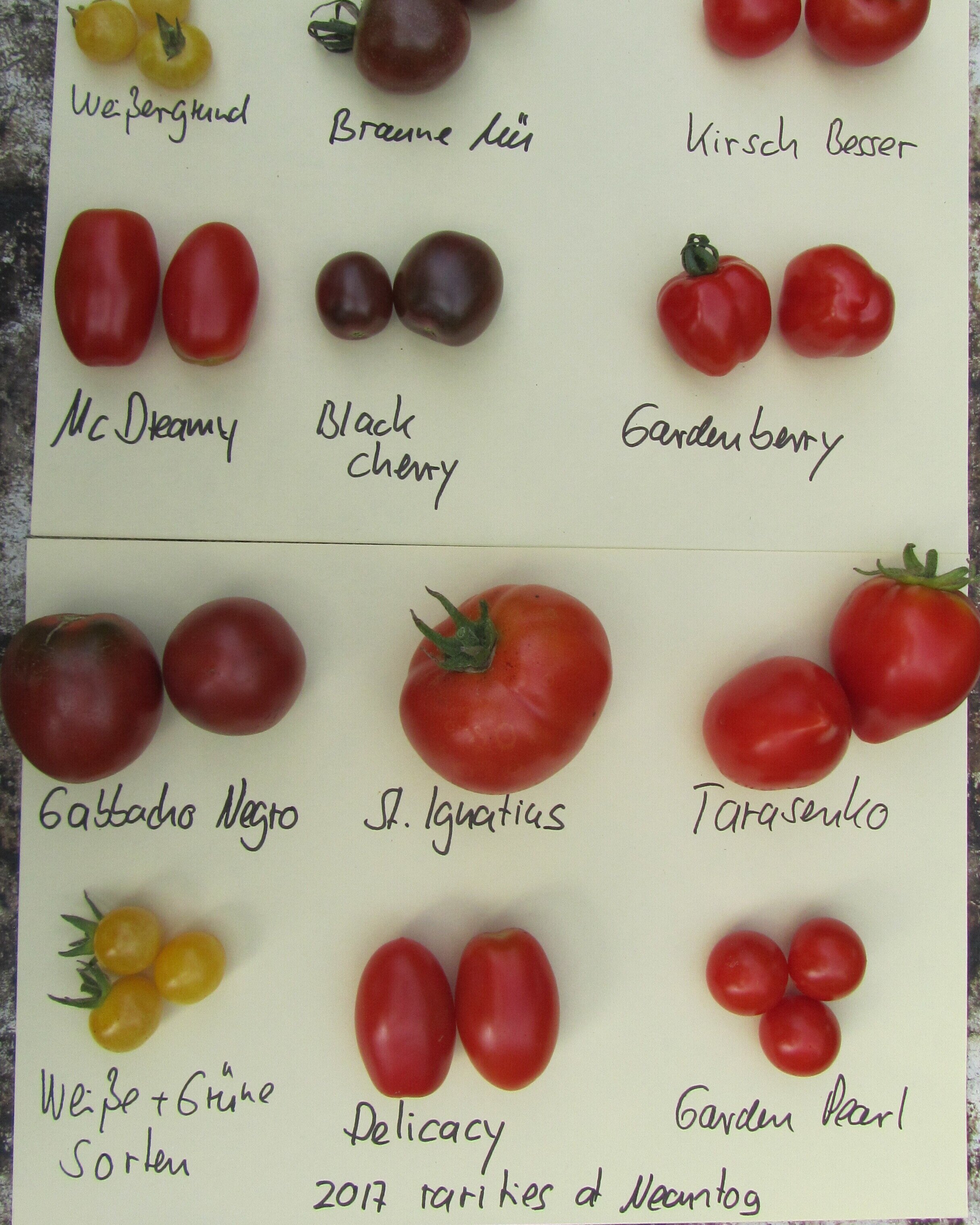 Neantog+rare+tomato+varieties+2017.jpg