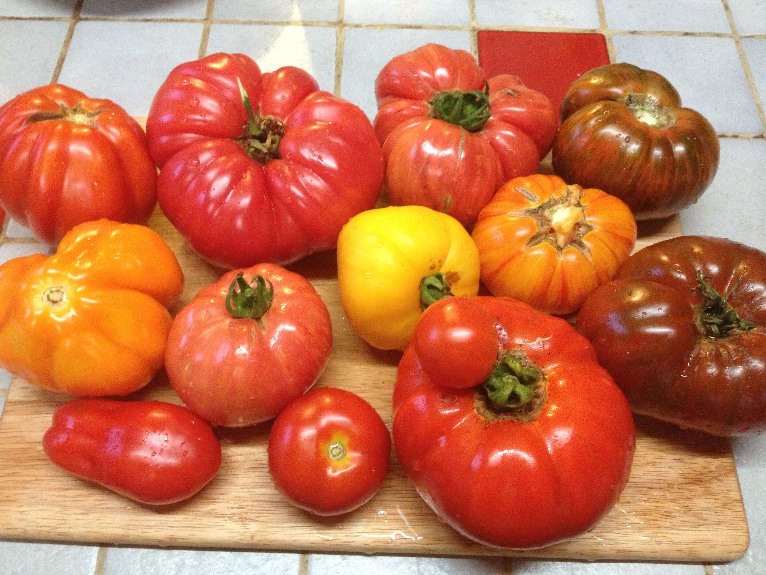 beef tomatoes 2013.JPG