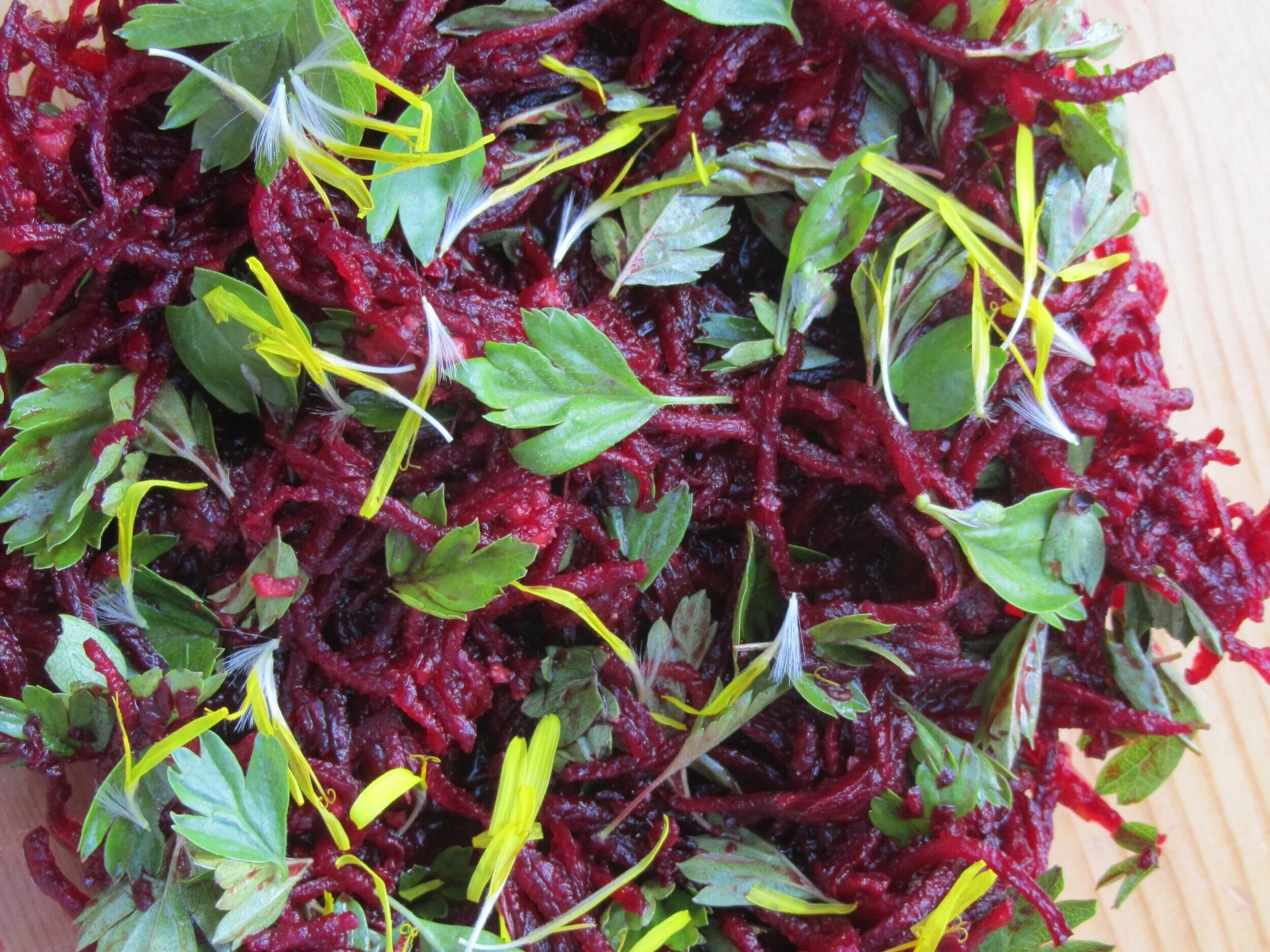 hawthorn beetroot salad dandelion pic.jpg