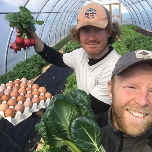 Knocknarea Farm - Farming for the Future